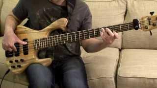 Skjold Slayer Bass Pickup Tone Demo