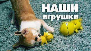 ИГРУШКИ ДЛЯ СОБАКИ МЕЛКОЙ ПОРОДЫЧИХУАХУА ЛИЗИ