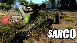 Taming A Sarco | Ark Survival Evolved | The Island