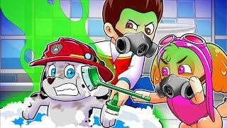 Marshall Paw Patrol - A Dirty Delight, A Shower Disdain Funny Animation | Challenge With Rescue Dogs