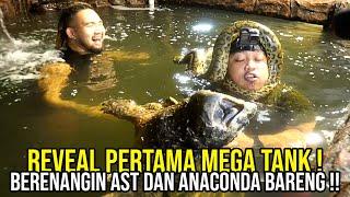 REVEAL BERENANG DI MEGATANK ULAR ANACONDA BUAS DAN HAMPIR KEGIGIT KURA AST GANAS TERBESAR !!!