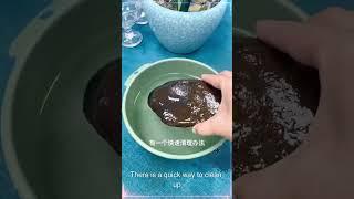 Stone Rejuvenation 101: Speedy Cleaning with Chlorine Dioxide Unveiled! | pondon.net