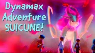 Suicune! ️ - Pokémon Sword/Shield: Dynamax Adventure