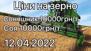 ЦІНИ НА ЗЕРНО ЗА ГОТІВКУ ДЛЯ ФЕРМЕРА ОДНООСІБНИКА РЕАЛЬНА ЦІНА КОНТАКТИ ПОКУПЦІВ ЗЕРНА  12.04.2022