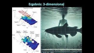 Waller oder Leiche? - Schatten richtig lesen im Sidescan Echolot