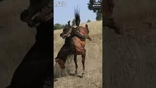 Red Dead Redemption | Part 2 - Training a Wild horse #mrarton#reddeadredemtion #wildhorses #train