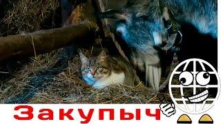 Деревенский ВЛОГ Закупыча ЧАСТЬ 1