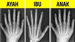 30 Fakta Singkat yang Mengguncang Dunia