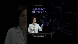 ГДЕ БОЛИТ ЖЕЛЧНЫЙ?