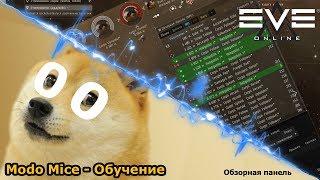 Eve online - Настройка обзорной панели