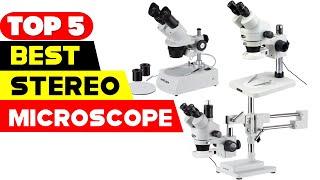 Top 5 Best Stereo Microscopes Reviews of 2024