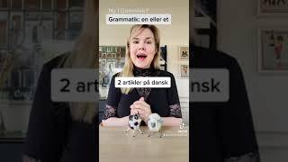 Grammatik - substantiver (artikler en eller et) video 1