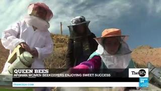 Afghanistan: Women beekeepers enjoying sweet success