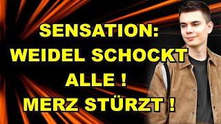 WEIDEL SCHOCKT ALLE! Merz STÜRZT!