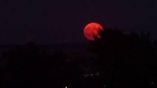 Orange Red Moon on the evening Sky by Gerald Spitzner