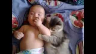 Cat loves Baby - Кошачьи нежности