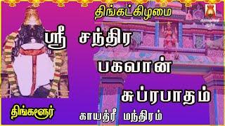 MONDAY SPL | THINGALUR | SRI CHANDRA BHAGAVAN SUPRABHATHAM GAYATHRI | CHANDRA PARIHAAR STHALAM