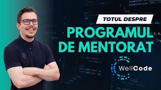 Programul de Mentorat WellCode - CE e și CUM se desfășoară?