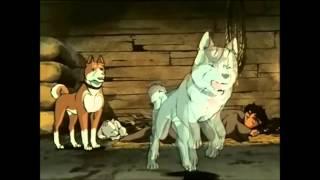 Ginga Nagareboshi Gin Full Opening - Live Version (AMV)