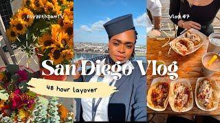 San Diego Vlog: Seaport Village, Balboa Park + Little Italy