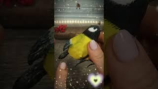 Синичка. Птичка/Titmouse. Bird. DIY.