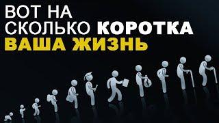 Насколько коротка НАША жизнь в действительности