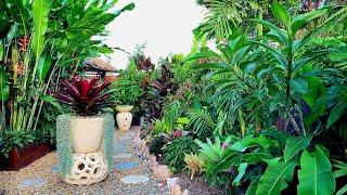 WOW! RELAXING TROPICAL GARDEN | TROPICAL GARDEN