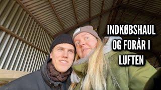 Indkøbshaul og forår i luften | Livet på gården Ep. 39