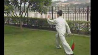 Yang taiji dao by Ding Shui-de