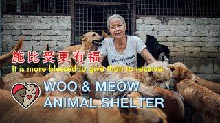 Toyota | Woo & Meow Animal Shelter Organization 汪喵收容所 - 同心协力 我们一起作出改变