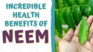 HEALTH BENEFITS OF NEEM