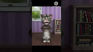 Talking Tom and ben discussion