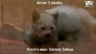 2 02 Заяц 2 0  Кототэ  Школа Зайца