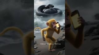 The Poor Monkey Rescue Black Snake From pregnant #monkey #rescue #animals #viralvideo