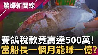 中國也受影響比賽鴿...台中賽鴿王得"國際雄"民號! 竟是被唯一獨子給氣死!? 黑鮪魚捕撈季結束 沒那麼好賺! 討海人辛酸日常曝光│【驚爆新聞線】20250616│三立新聞台