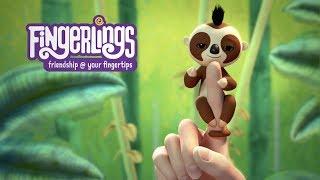 Fingerlings  Slow Things Down with Kingsley The Sloth 