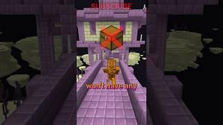 end city RAIDING TIPS! #minecraft