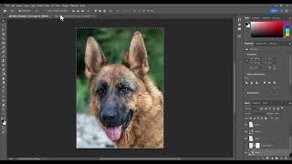 How to Copy Image or Layer Content and Paste it Onto Layer Mask in Adobe Photoshop