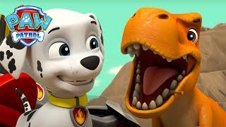 De Pups helpen een gewonde dinosaurus - PAW Patrol Nederlands