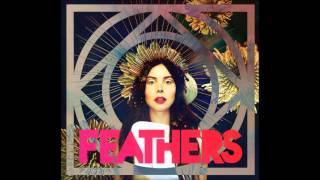 Feathers Dark Matter