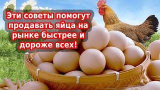 Купить яйцо или продать яйцо - бизнес деревне. Учу быстро и дорого продавать яйца