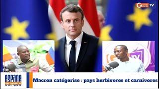 #urgent: Macron Catégorise; pays herbivores et carnivores