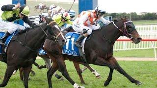 2014 Warrnambool  The Standard BM78 Handicap