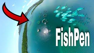 Milkfish Sea Cages | Bangus Culture | Hinoba-an Philippines