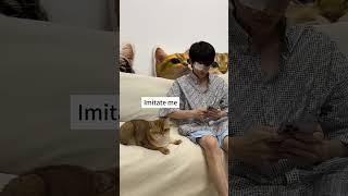 the real "copycat"#cat #funny #cats #for #foryou #fyp #foryoupage #funnyvideo #cute #pet #animal