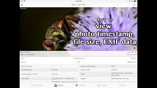 How to find the Photo Time Stamp and EXIF Metadata On iPhone or iPad