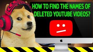 How To Watch Private And Deleted YouTube Videos? [2024]