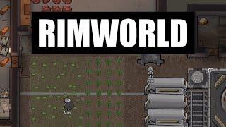 how to rimworld