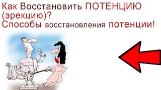 Как Восстановить Потенцию (эрекцию)? Способы Восстановления Потенции!