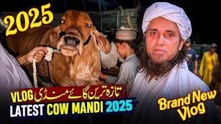 A Brand New Cow Mandi Vlog 2025 - Mufti Tariq Masood Vlog